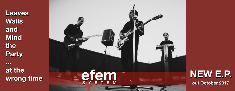 efem system